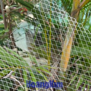 Lưới thép trát tường 10x20 - luoithephoangkim - 1